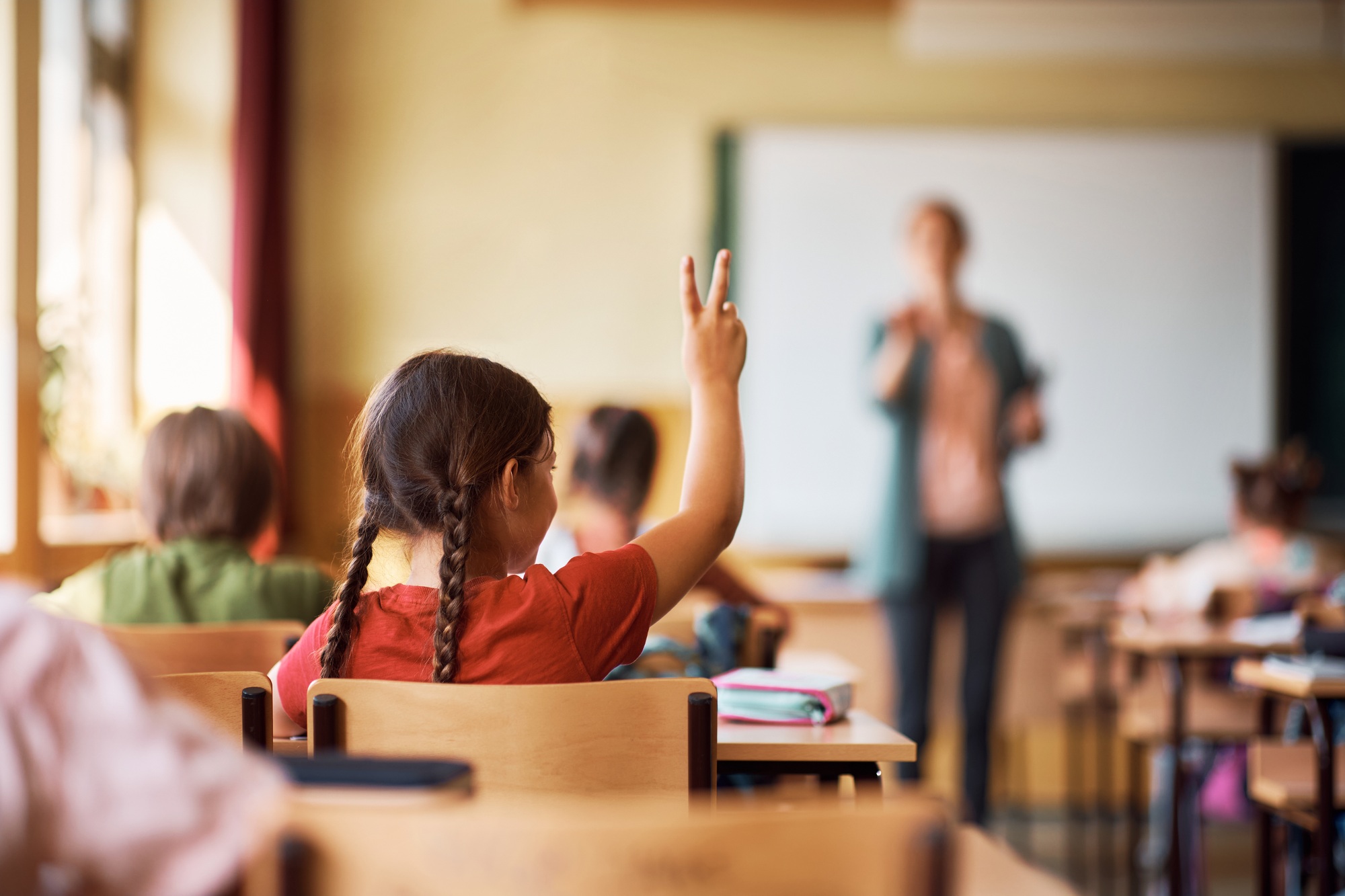 Rear view of schoolgirl raising hand to ask a question in the classroom.