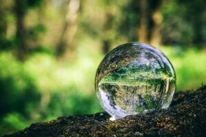 Crystal ball standing on a trunk, reflecting a forest.