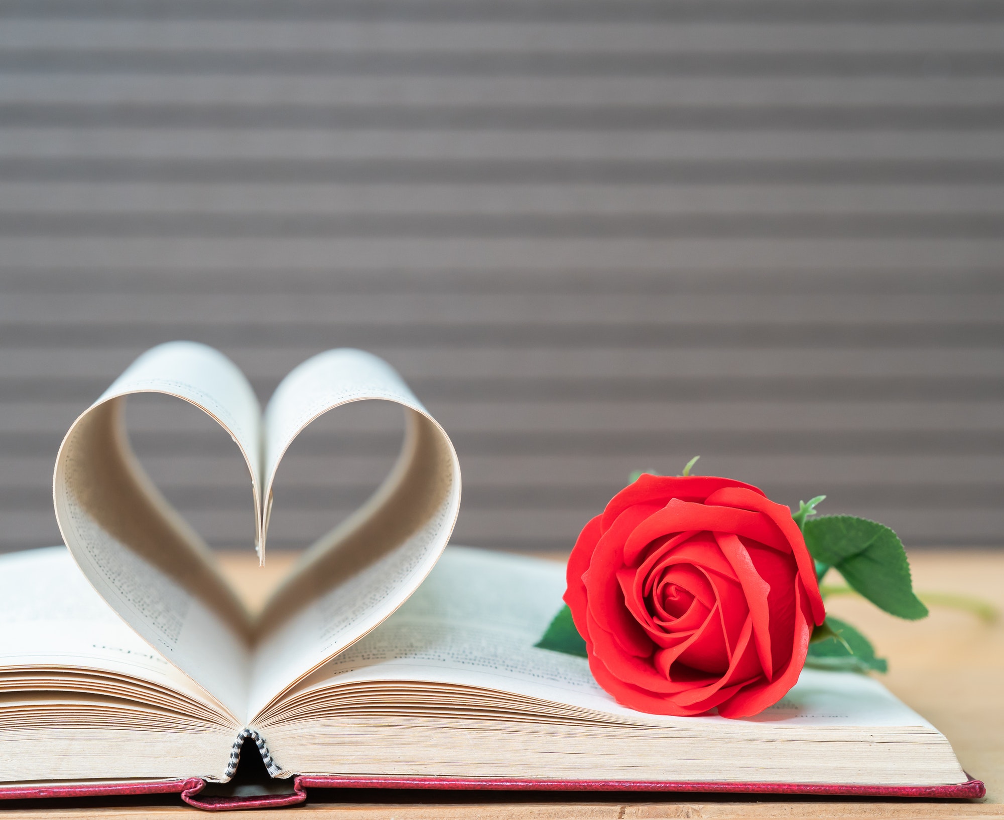 Pages of book curved heart shape and red rose